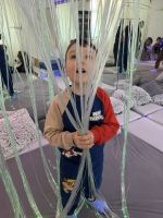 Fotografie img-1776_original.jpeg