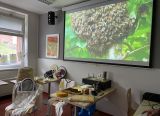 Obrázek k aktualitě Projektový den – Světový den včel