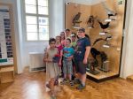 Fotografie a6725617-7220-4eab-925c-c03b42789a06_original.jpg