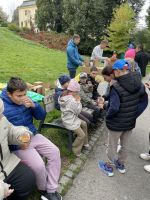 Fotografie img-9207_original.jpeg