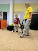 Fotografie img-5396_original.jpeg